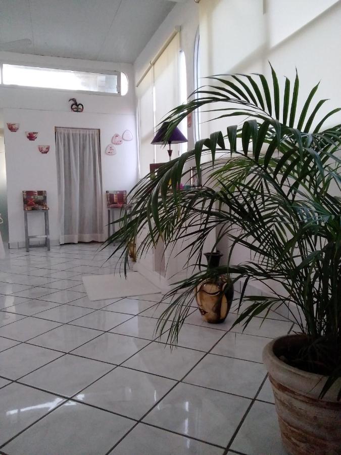 Boutique Basic Hotel Puerto Vallarta Exteriér fotografie