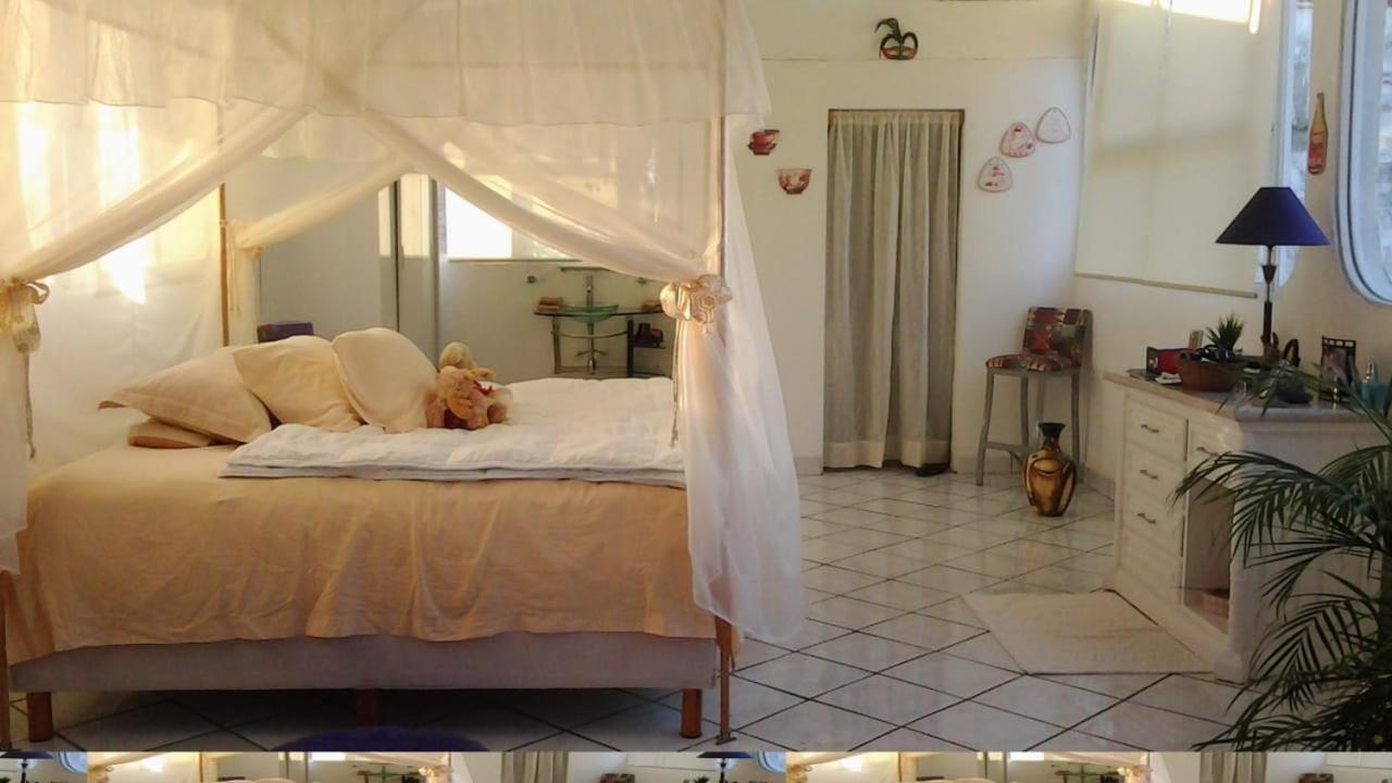 Boutique Basic Hotel Puerto Vallarta Exteriér fotografie