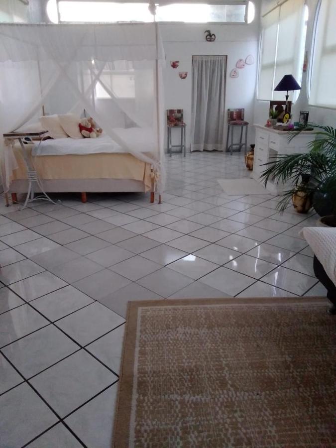Boutique Basic Hotel Puerto Vallarta Exteriér fotografie