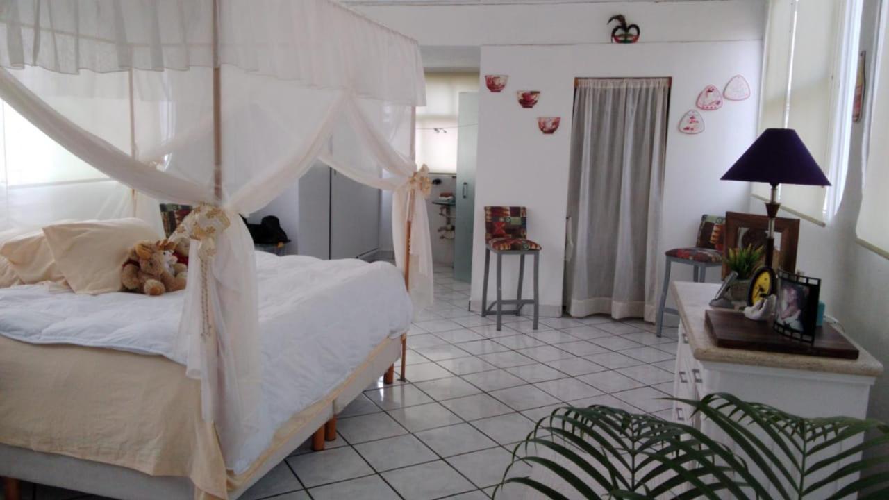 Boutique Basic Hotel Puerto Vallarta Exteriér fotografie